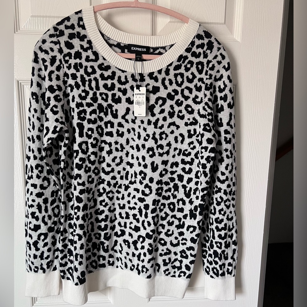 Express sweater. Sz large. Soft material and cute pattern. NWT.